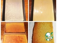 ����-�������� � ��������� � ���������� �����������