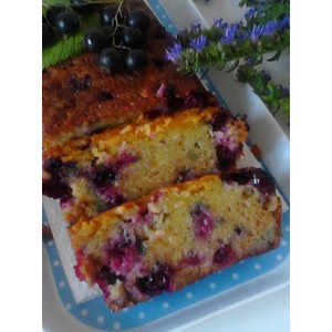 ���� �����������������