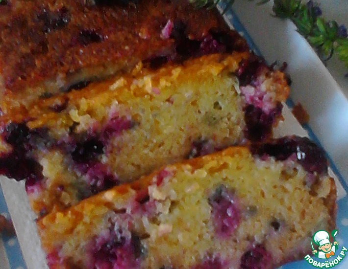 ������: ���� �����������������