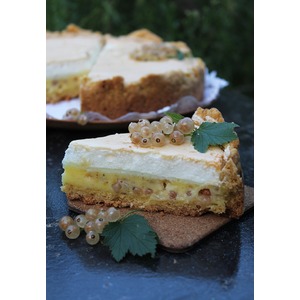 ����� � ����� ���������� "��������"