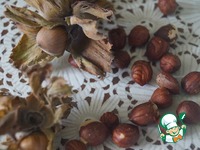 �������� � �������� � ����������� �������� �����������