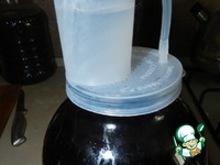 �������-���������� ���� �����������