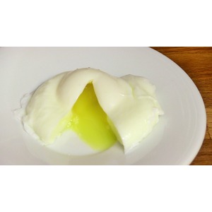 ������������ ���� �����