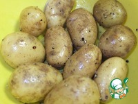 ������ "����" �����������