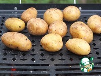 ������ "����" �����������