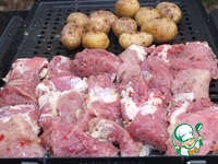 ������ "����" �����������