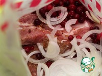 ������ ������� � ���������� �������� �����������