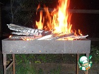 ������-�������� ����� �� �������� �����������