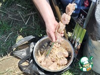 ������ "��������" �����������