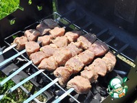 ������ "��������" �����������