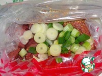 ������ �� ������� � ��������-�������� �������� �����������