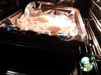 �����-���� "���������" �����������