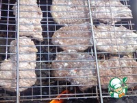 ��������-����� � ������� �����������