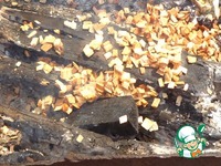 ��������-����� � ������� �����������