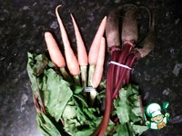 ���� ������� "������-������" �����������