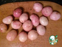 ���� ������� "������-������" �����������