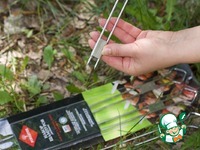 ������ ������� �������� � ������� �����������