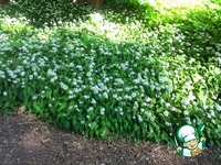 ������� ��������� ����� �����������