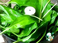 ������� ��������� ����� �����������