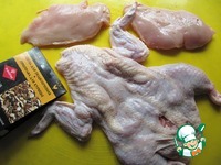 ������������ ������-����� � ������� �����������