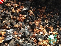 ������� �������� �� ������ ��-���������������� �����������