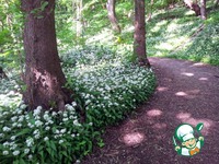 ������� ��������� ����� �����������