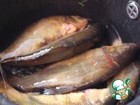 �������� ���� � ����-����� �����������