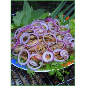 ���������� �� ����� "��� �������"