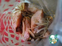 ������� �����-����� � ��������� ����� �����������