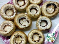 ���������� � ����� � ������ �����������