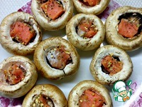 ���������� � ����� � ������ �����������