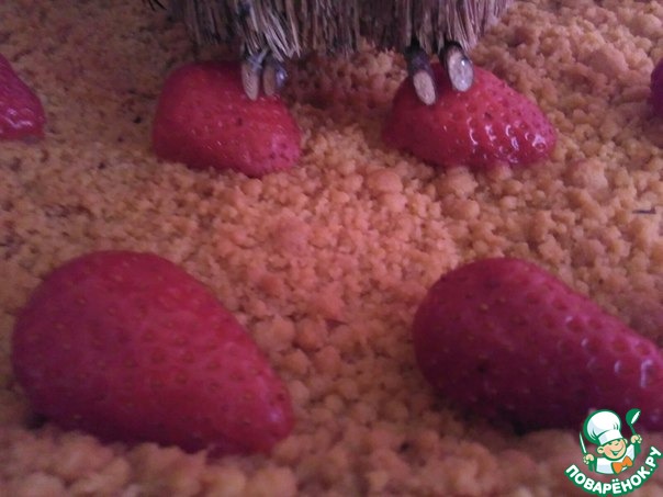 ������ ����