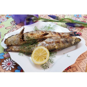 ������������ ������������ ���� �� �����