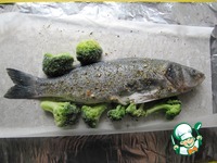 ���� � ��������, ���������� � ������ �����������