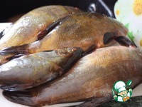 ���� "��������" � �������� �����������