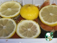 ������ ���� � ������ ������������ �����������