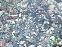 ������ ���� � ������ ������������ �����������