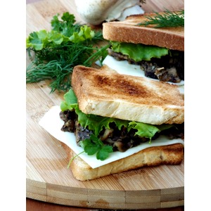 ������� ����� �� ������