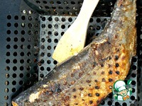 �������� �������-����� �����������