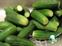 ����������� ������ "�������" �����������