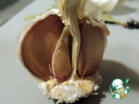 ����������� ������ "�������" �����������