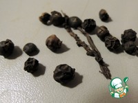 ����������� ������ "�������" �����������