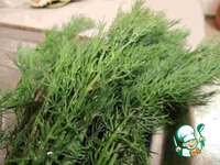 ����������� ������ "�������" �����������