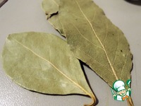 ����������� ������ "�������" �����������