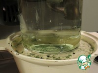 ����������� ������ "�������" �����������