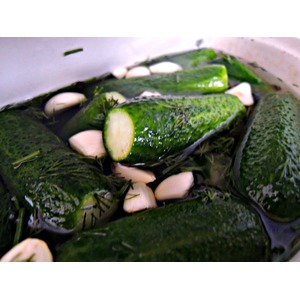 ����������� ������ "�������"