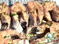 ������ �� ������ ����� �����������