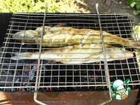 ����� �� ����� � ��������� ������ �����������