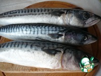 �������� ����� � ������� ��� ������� �����������