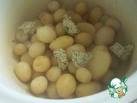 ������� ��������� � �������-������� ������ �����������